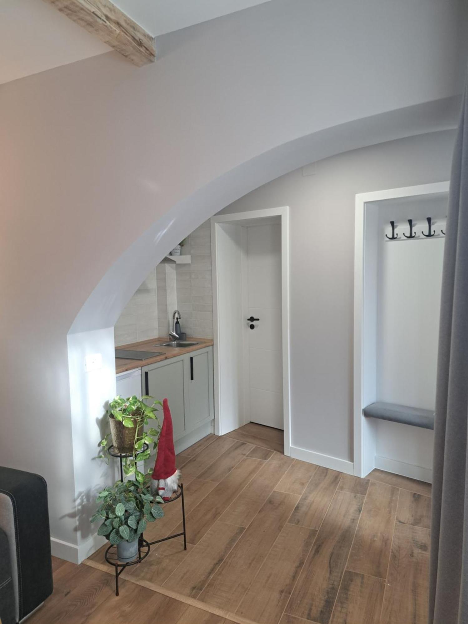 Apartament Casa Ileana Centrul Vechi Braszów Zewnętrze zdjęcie