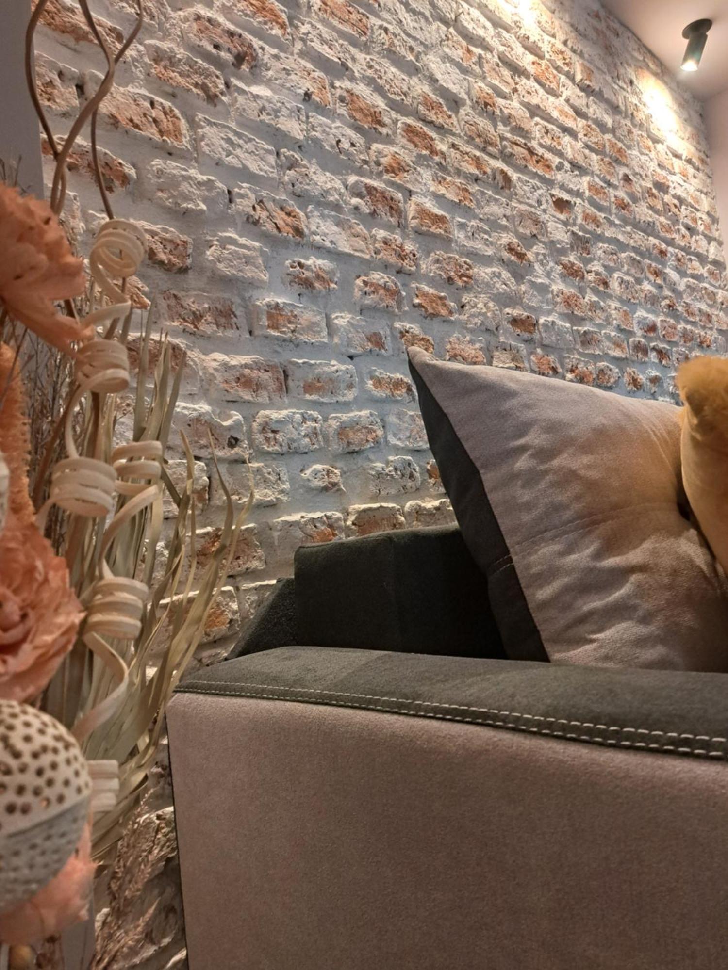 Apartament Casa Ileana Centrul Vechi Braszów Zewnętrze zdjęcie