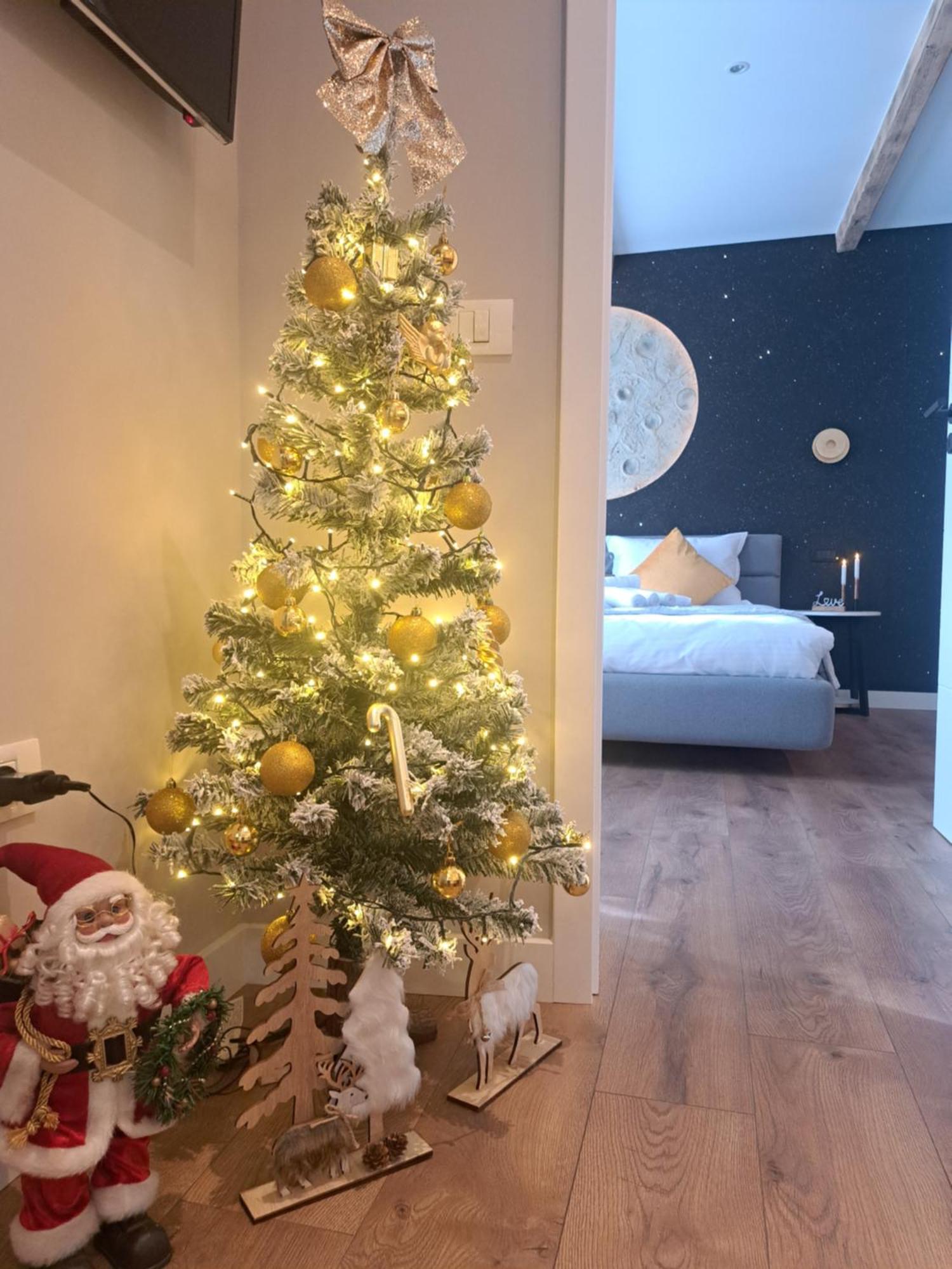 Apartament Casa Ileana Centrul Vechi Braszów Zewnętrze zdjęcie