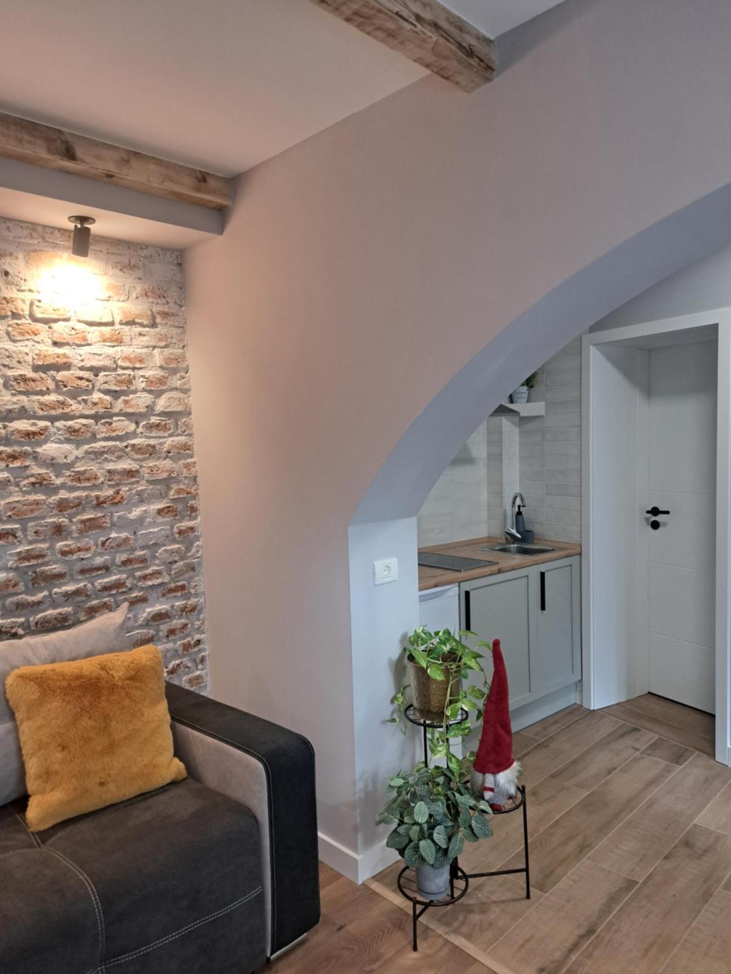 Apartament Casa Ileana Centrul Vechi Braszów Zewnętrze zdjęcie