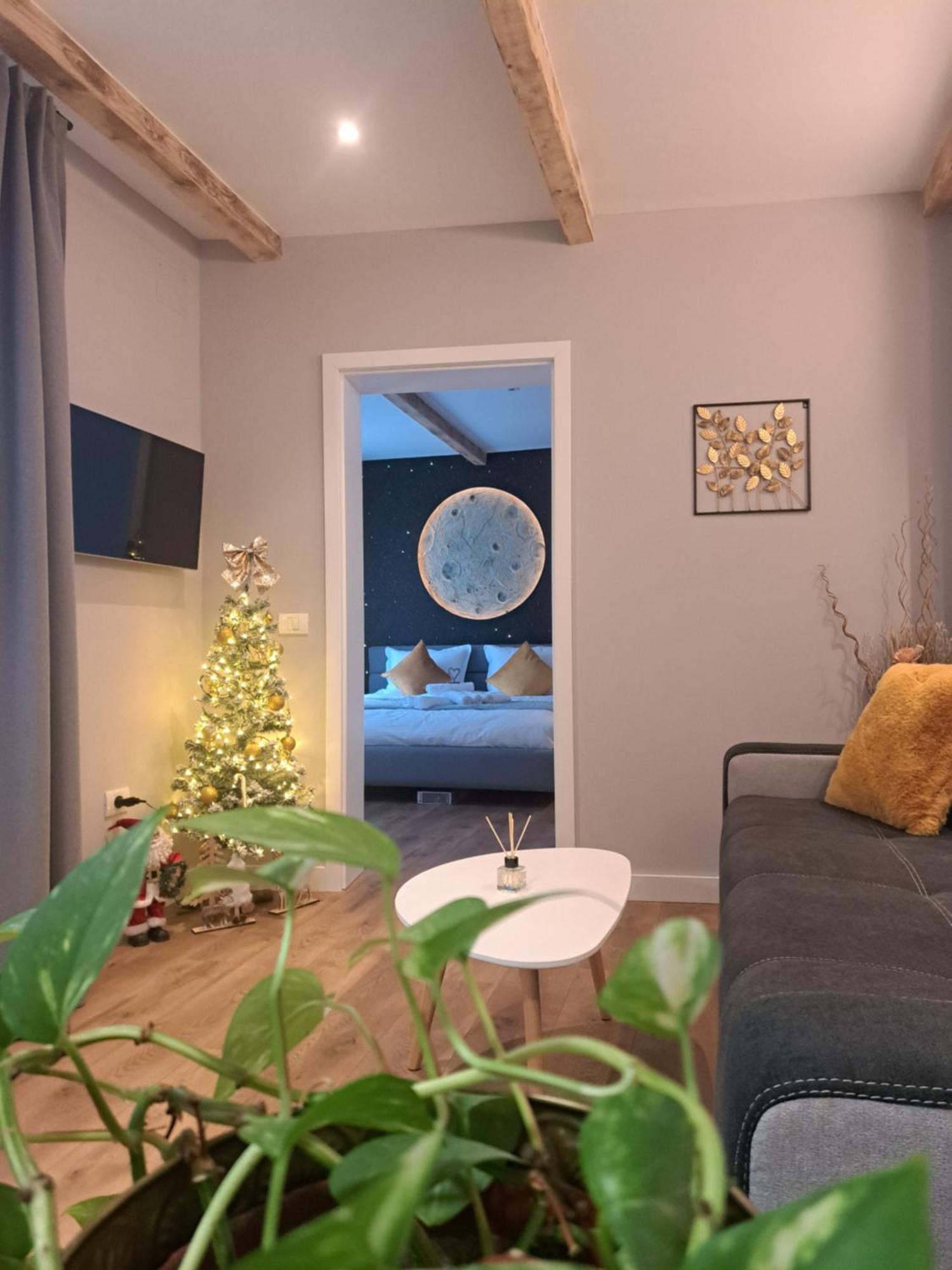 Apartament Casa Ileana Centrul Vechi Braszów Zewnętrze zdjęcie