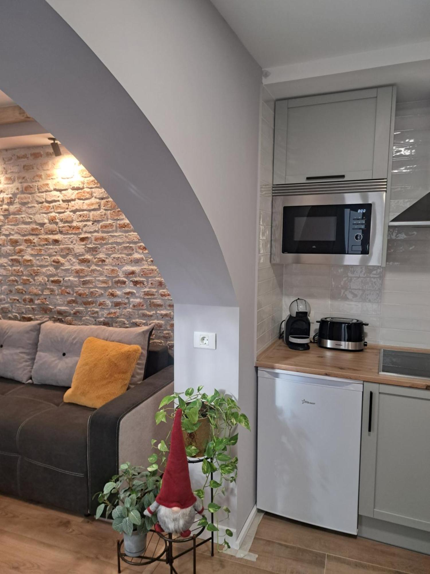 Apartament Casa Ileana Centrul Vechi Braszów Zewnętrze zdjęcie