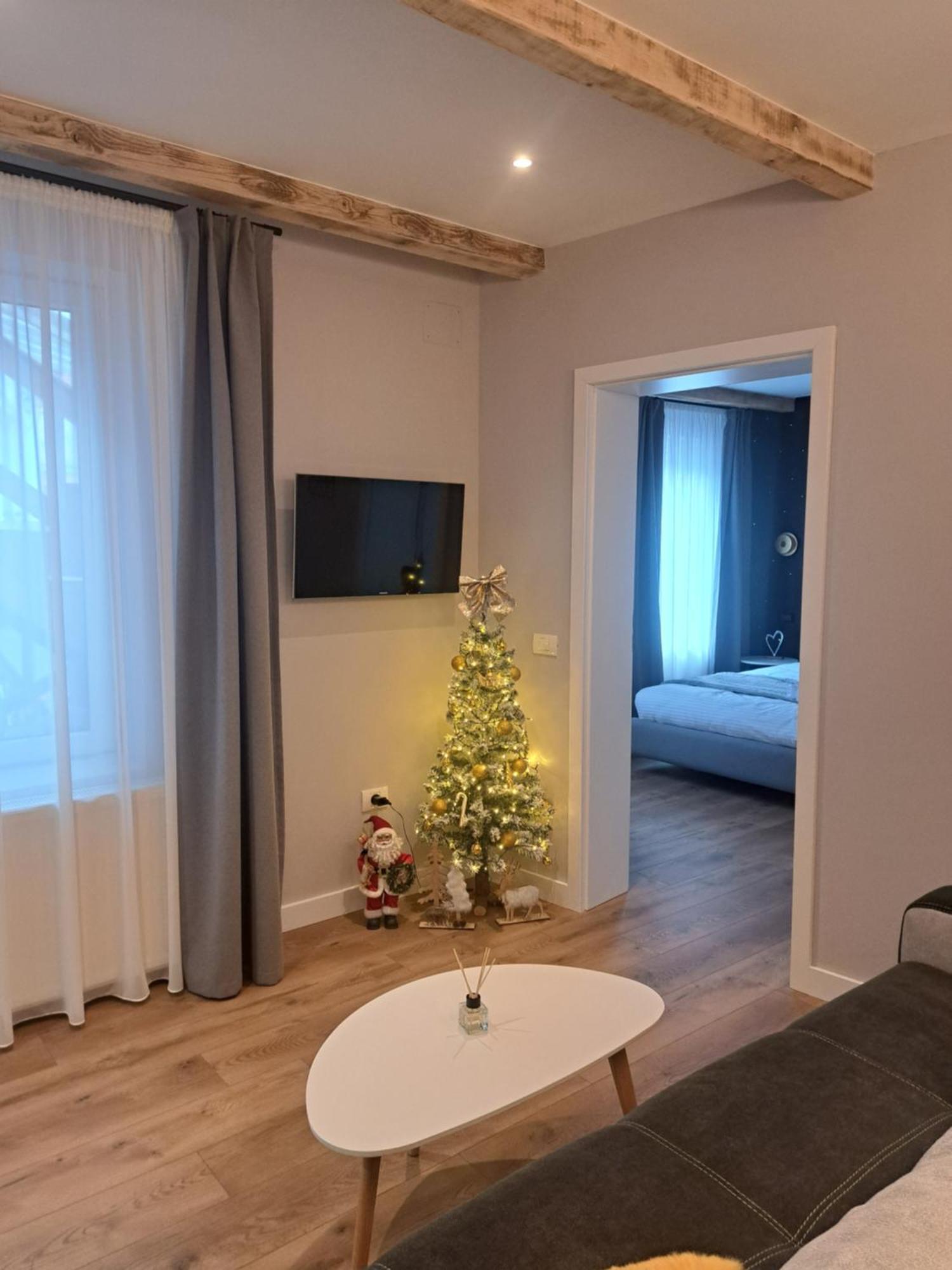 Apartament Casa Ileana Centrul Vechi Braszów Zewnętrze zdjęcie