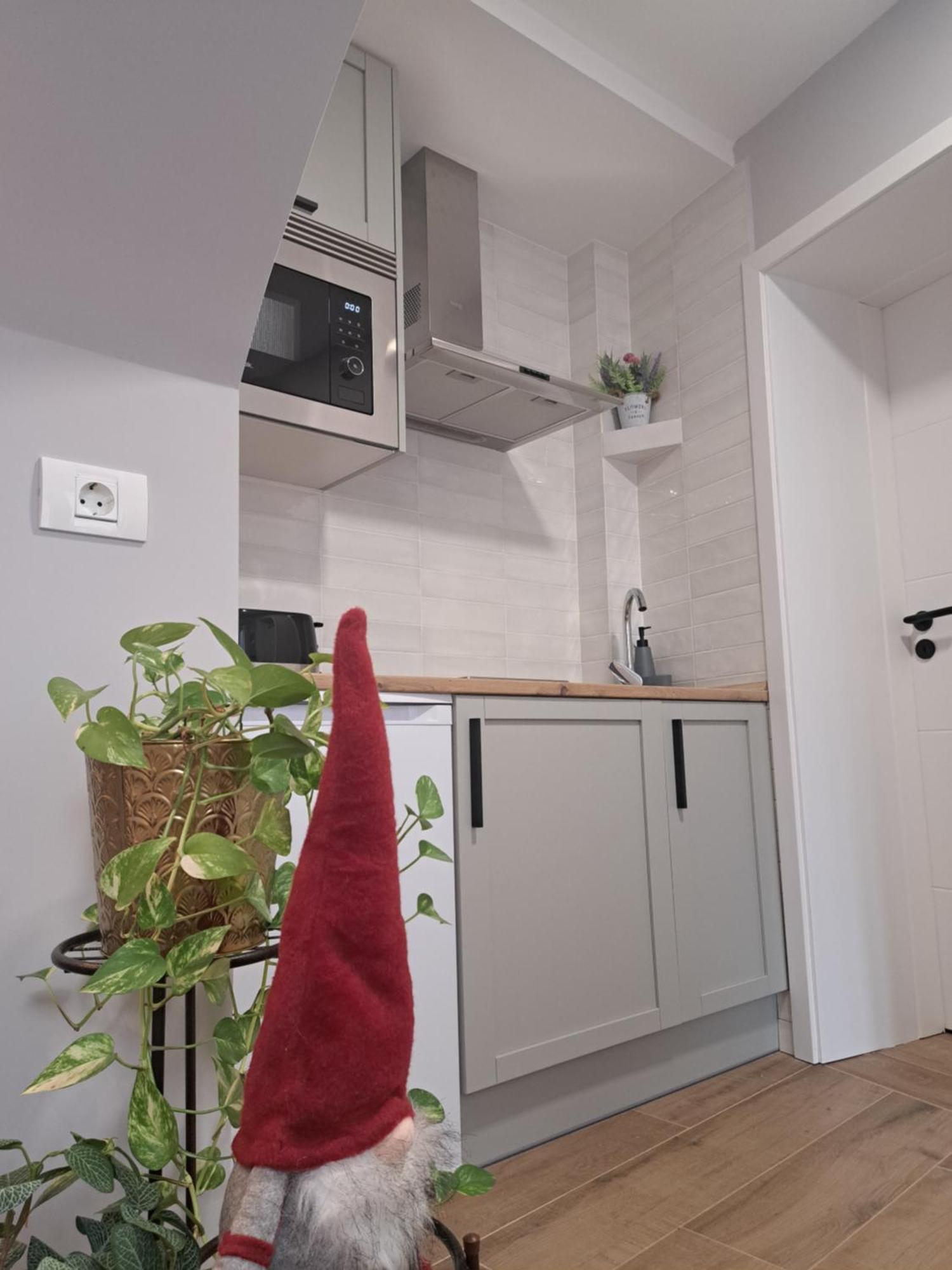 Apartament Casa Ileana Centrul Vechi Braszów Zewnętrze zdjęcie