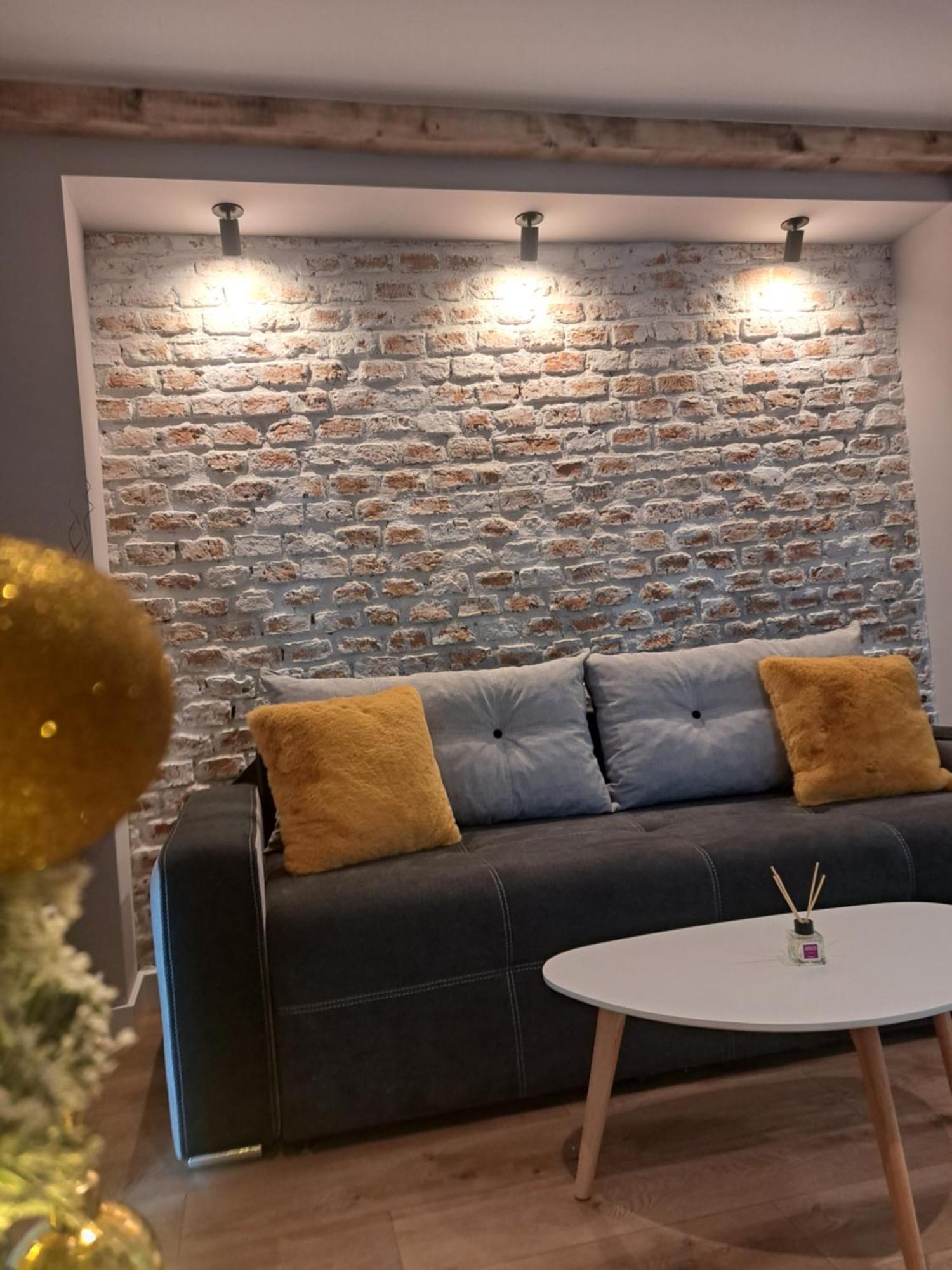 Apartament Casa Ileana Centrul Vechi Braszów Zewnętrze zdjęcie